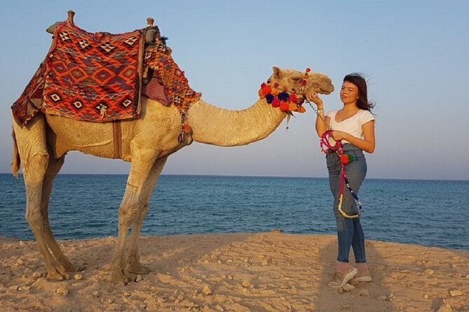 Experience Camel Riding in the Stunning Desert - Hurghada - Small Group Size (Max 15): Less Chaos, More Attention