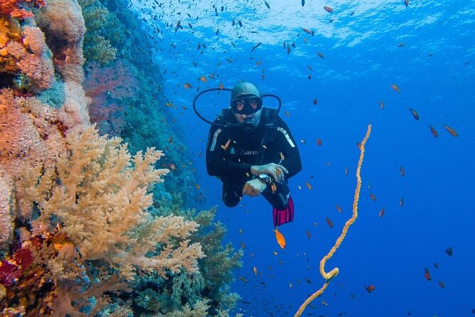 Explore Hurghada Two Thrilling Boat Dives for Certified Divers - Key Highlights That Matter on the Water