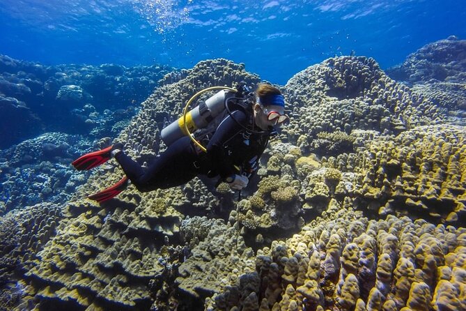 Explore Hurghada Two Thrilling Boat Dives for Certified Divers - Hurghada Morning Pick-Up: The 8-Hour Schedule in Real Life