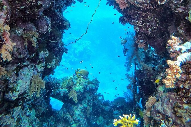 Explore Hurghada Two Thrilling Boat Dives for Certified Divers - Who This Trip Fits Best (Certified Divers First, With Flexible Support)