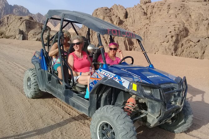 Family or double buggy safari & bedouin village in Sharm - Bedouin village tea and dinner: the cultural stop that turns it from a ride to a story