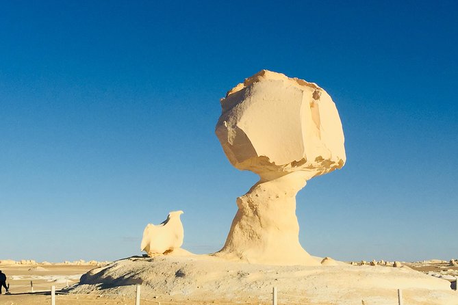 Fantastic Overnight White Desert and Baharya oasis - Key highlights at a glance