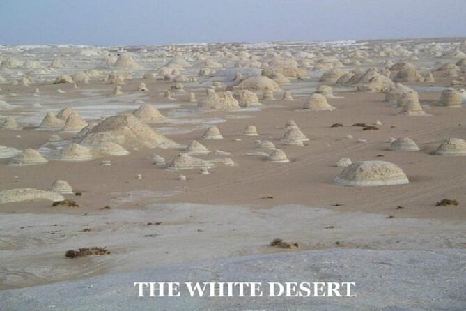 Fantastic Overnight White Desert and Baharya oasis - Arriving the White Desert: setting camp where sunset owns the place