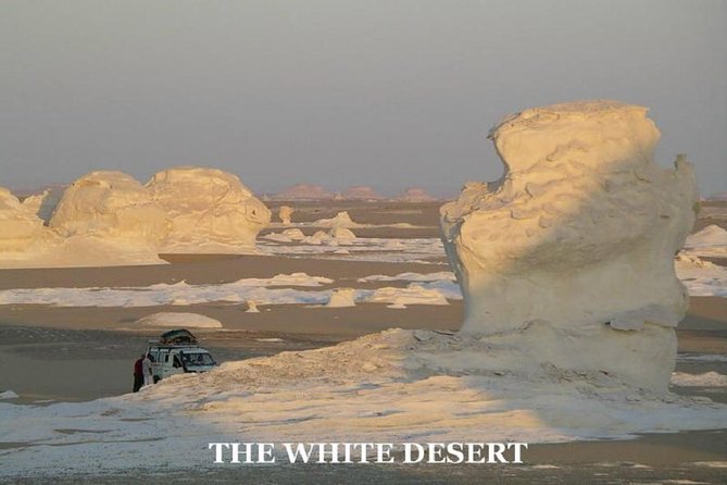Fantastic Overnight White Desert and Baharya oasis - Transport and guides: private vehicles and a calm, safety-first feel