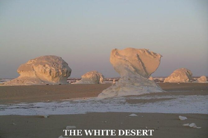 Fantastic Overnight White Desert and Baharya oasis - Price and value: what $220 covers (and why it can be worth it)