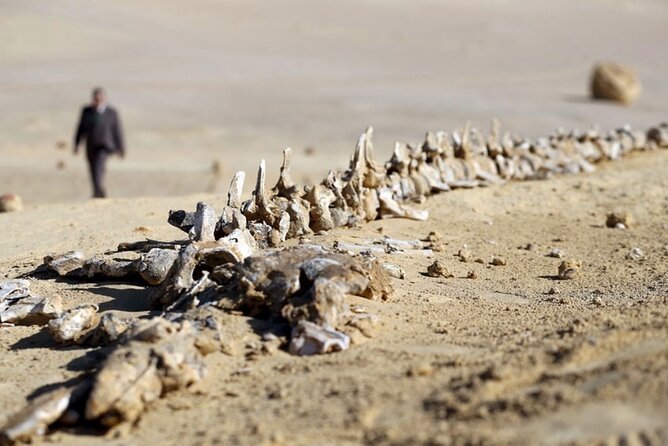Fayoum 4x4 Safari Adventure, Sandboarding, Lunch, Felucca - Magic Lake camp: color-changing water and Bedouin lunch
