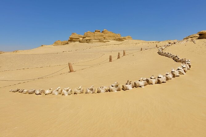 Fayoum Adventure: Whales Valley,4x4 Desert Safari & Wadi Rayan - Lunch and included costs: what you pay for and what you’ll still spend