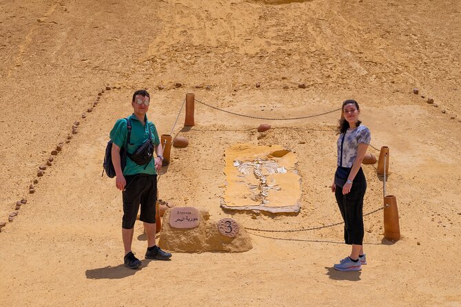 Fayoum Oasis Adventure 4WD Desert Safari with Traditional Lunch - Wadi Al-Hitan Valley of the Whales: Fossils That Turn Sand Into Science