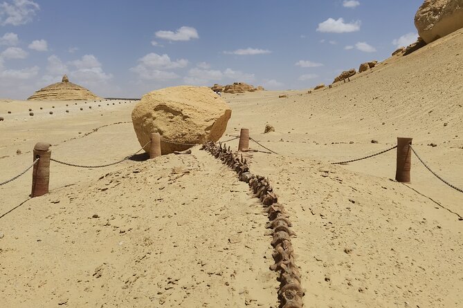 Fayoum Oasis Adventure 4WD Desert Safari with Traditional Lunch - Value and What You Actually Get for $100