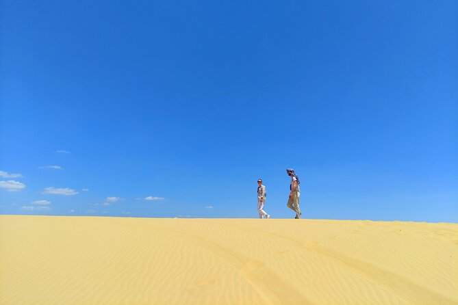 Fayoum Oasis Adventure: Nature, History, and Excitement - Lunch by Lake Qarun: A Break That Actually Changes the Pace