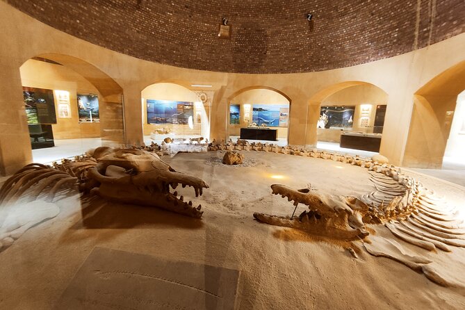 Fayoum Oasis Adventure: Nature, History, and Excitement - The Morning Start: Cairo or Giza Pickup and a Real Schedule