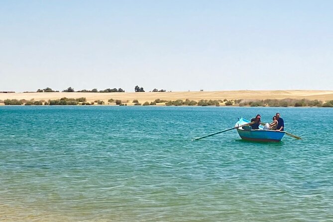 Fayoum Oasis Tour Hidden Gem Wadi El Rayan & Valley of the Whales - Lunch and the Rhythm of an 8 to 10 Hour Desert Day