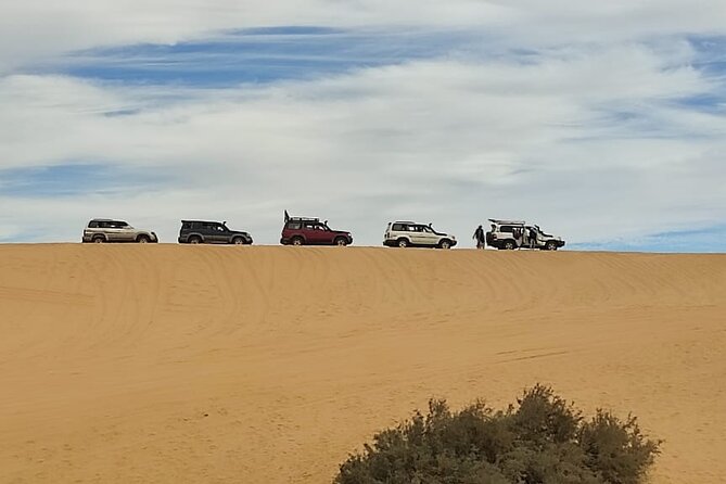 Fayoum Oasis Tour Hidden Gem Wadi El Rayan & Valley of the Whales - Price and Value: What $130 Covers (and What You Pay Extra)