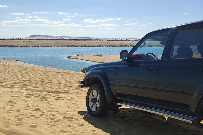 Fayoum Oasis Tour Hidden Gem Wadi El Rayan & Valley of the Whales - Final Call: Should You Book It?