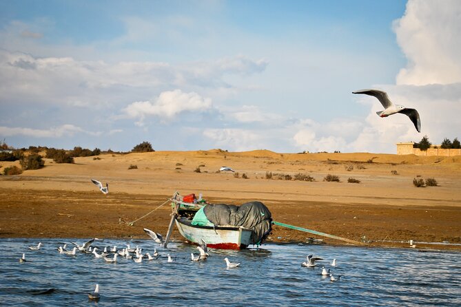 Fayoum Oasis Tour to Karanis, Qarun Lake, Wadi El Rian Waterfalls - Lunch in Fayoum: local flavors plus one bathroom reality check