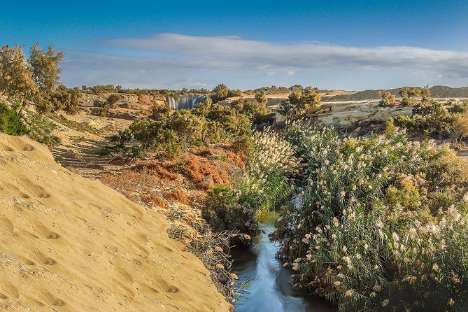 Fayoum Oasis Tour to Karanis, Qarun Lake, Wadi El Rian Waterfalls - Price and logistics: what $105 buys you in a 9-hour day