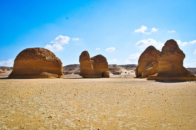 Fayoum Oasis Tour to Karanis, Qarun Lake, Wadi El Rian Waterfalls - Karanis and the Greco-Roman ruins you can actually picture