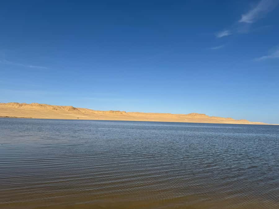 Fayoum: Qarun Sahara Safari With( ATV ) Quad bike From Cairo - Getting There: Cairo Pickup at 10 AM and a Long, Smooth Day
