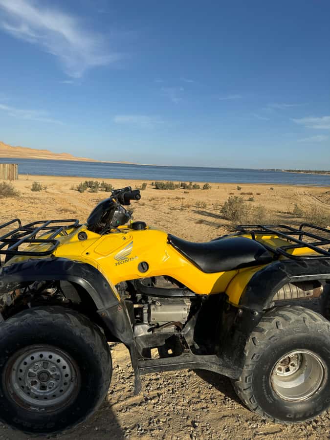 Fayoum: Qarun Sahara Safari With( ATV ) Quad bike From Cairo - Price and Value: What You Pay for at About $200 per Person