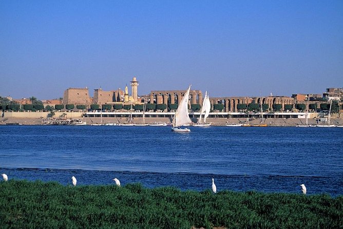 Felucca in Luxor Amazing Sunset sailing {Private} 2 Hours - Banana Island stop: tea, bananas, and a reality check