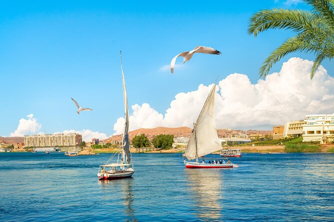 First impression of Luxor-Explore secrets of Luxor by horse carriage - Price and temple tickets: what $30 really covers