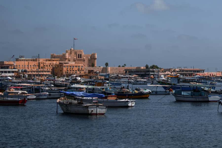 From Alexandria:- Alexandria Top Highlights half-day tour - Pompey’s Pillar and the Serapeum Temple Area: Quick Icon, Big Context