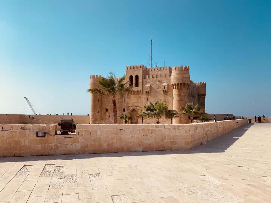 From Alexandria:- Alexandria Top Highlights half-day tour - Library of Alexandria (Modern Building): What You Can See and When It Matters