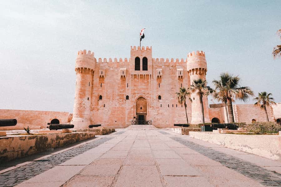From Alexandria:- Alexandria Top Highlights half-day tour - Mosque, Saint Mark Cathedral Galleries, and Harbor Views: The Stuff Tour Buses Often Skip
