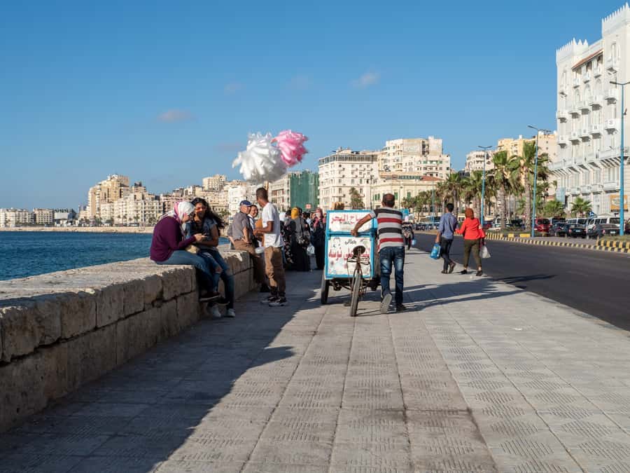 From Alexandria:- Alexandria Top Highlights half-day tour - Pick-up, Comfort, and How the Small-Group Feel Changes Everything