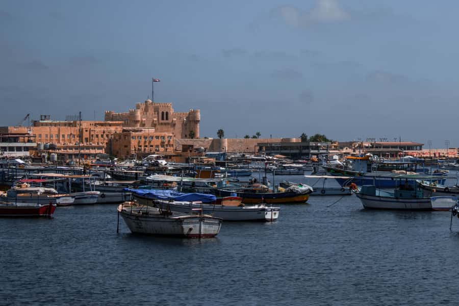From Alexandria: Highlights of Alexandria Full City Tour - Key things that make this tour work