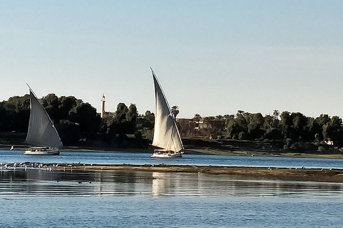 From Aswan: 2 Night-3 Day Nile Cruise & Hot Air Balloon Ride - Kom Ombo at sunset: the two-god temple stop that feels different