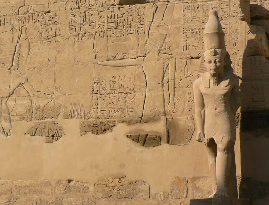 From Cairo: 5-Day Tour with Nile Cruise, Balloon, & Flights - Abu Simbel by road: a powerful day paired with Kom Ombo’s strange temple