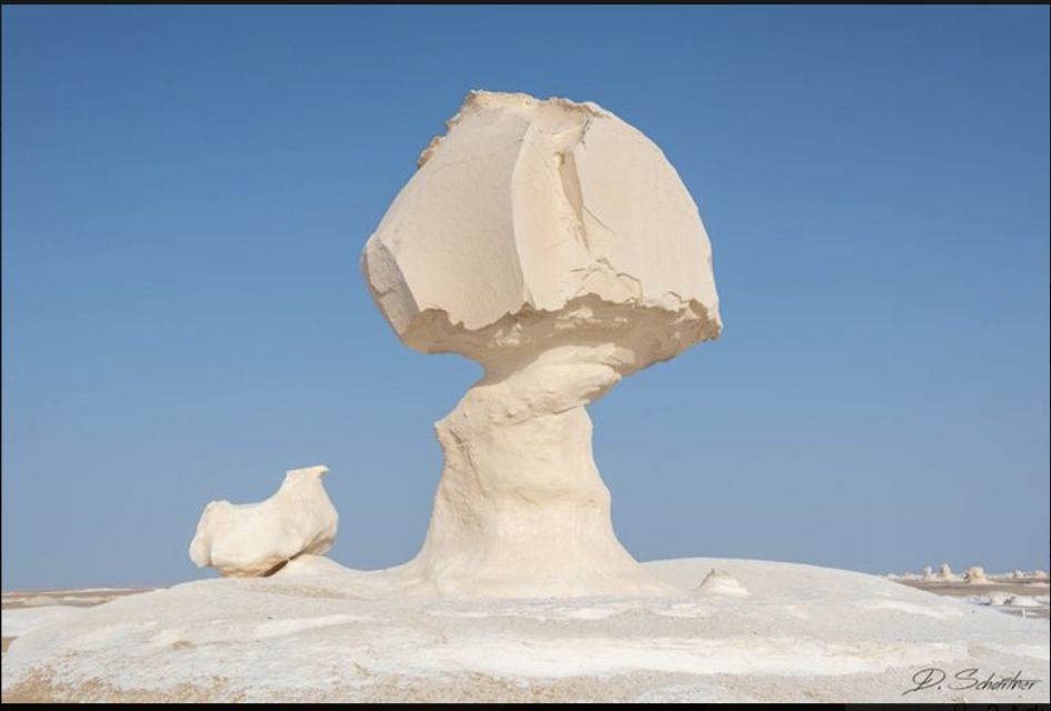 From Cairo: Bahariya Oasis and Black and White Desert Tour - The 6:00 AM Cairo Start That Makes the Day Work
