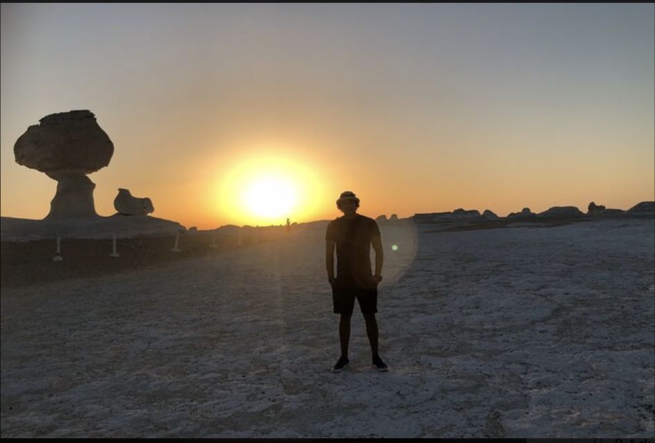 From Cairo: Bahariya Oasis and Black and White Desert Tour - Bahariya Oasis: Where the Desert Loops Back Into Human Life