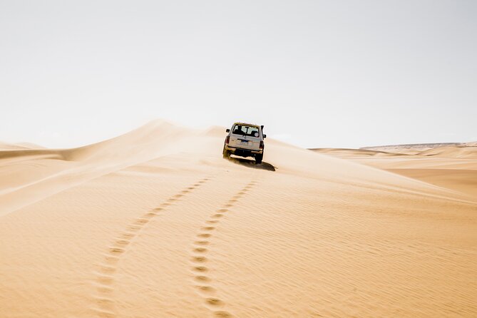 From Cairo: Desert Safari, Waterfalls, Sand boarding and Camel ride with Lunch - Key highlights worth your attention