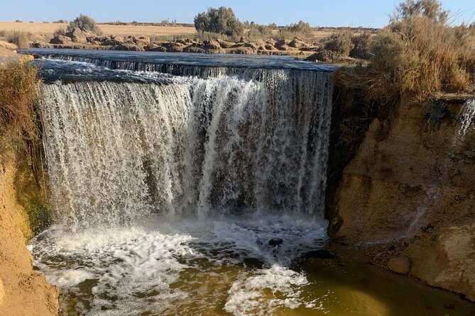 From Cairo: Desert Safari, Waterfalls, Sand boarding and Camel ride with Lunch - Price and value at $130: what you’re really paying for