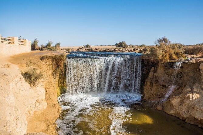 From Cairo: Desert Safari, Waterfalls, Sand boarding and Camel ride with Lunch - Who should book this safari, and who might want a different day