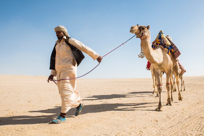 From Cairo: Desert Safari, Waterfalls, Sand boarding and Camel ride with Lunch - Camel ride and waterfalls: how the calm moments fit the adventure