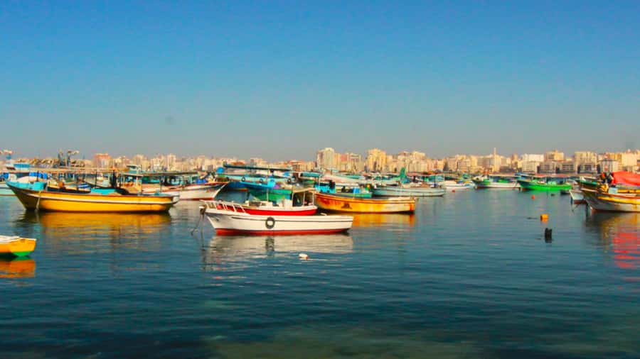 From Cairo: El Alamein and Alexandria Guided Day Tour - Two-Way Commute Reality: What 12 Hours Feels Like