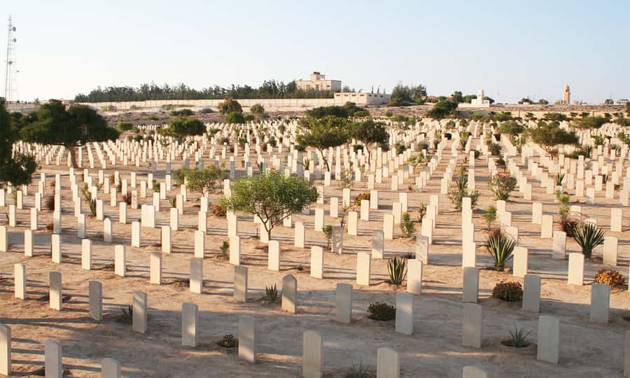From Cairo: El Alamein and Alexandria Guided Day Tour - Price and Value at $188: What You Get for the Day