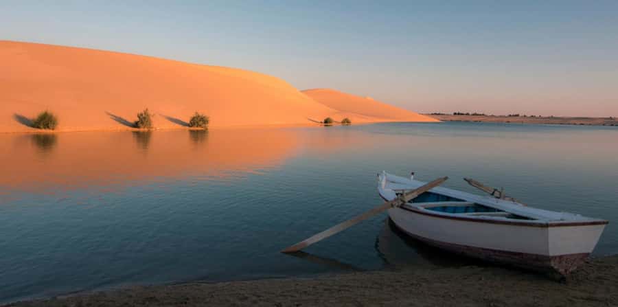From Cairo: Fayoum Oasis and Wadi Al Rayan Guided Tour - Why Fayoum and Wadi Al Rayan Feel Like Egypt’s Desert Escape
