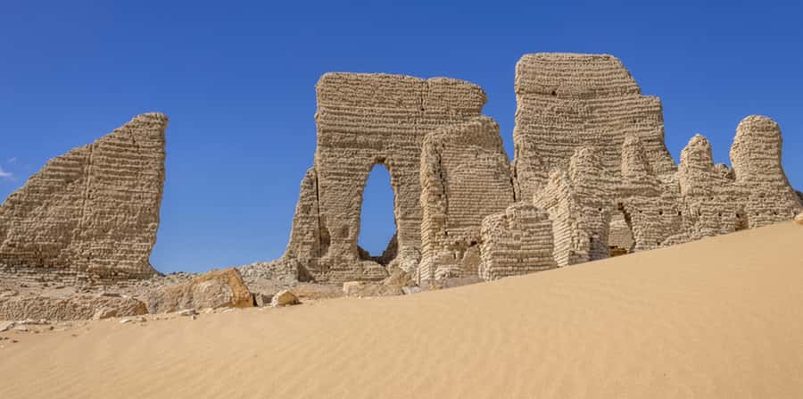 From Cairo: Fayoum Oasis and Wadi Al Rayan Guided Tour - A Lunch Stop That’s Part of the Route (Not Just a Break)