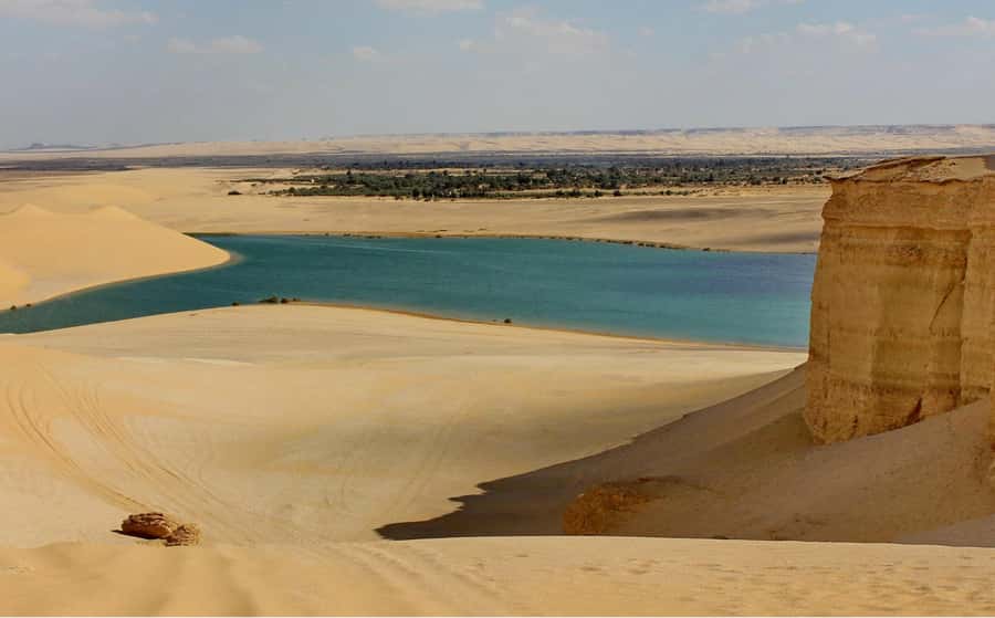 From Cairo: Full-Day Tour to El Fayoum - Wadi Al-Hitan (Valley of the Whales): why this stop hits harder than you expect