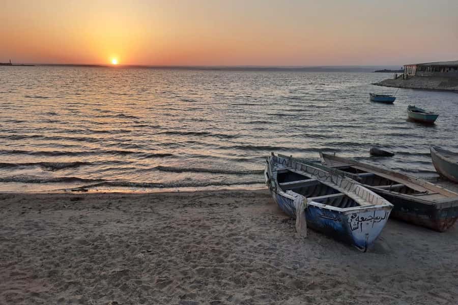 From Cairo: Full-Day Tour to El Fayoum - Magic Lake and the desert’s weird little miracles