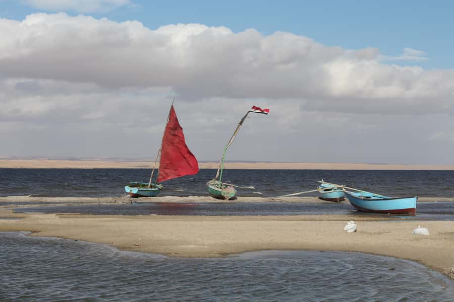 From Cairo: Full-Day Tour to El Fayoum - Jeep safari and sandboarding: fun that doesn’t feel like a gimmick