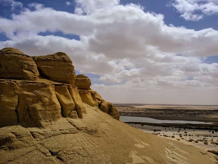 From Cairo: Full-Day Tour to El Fayoum - Lunch at a desert camp setup: why the food actually matters here