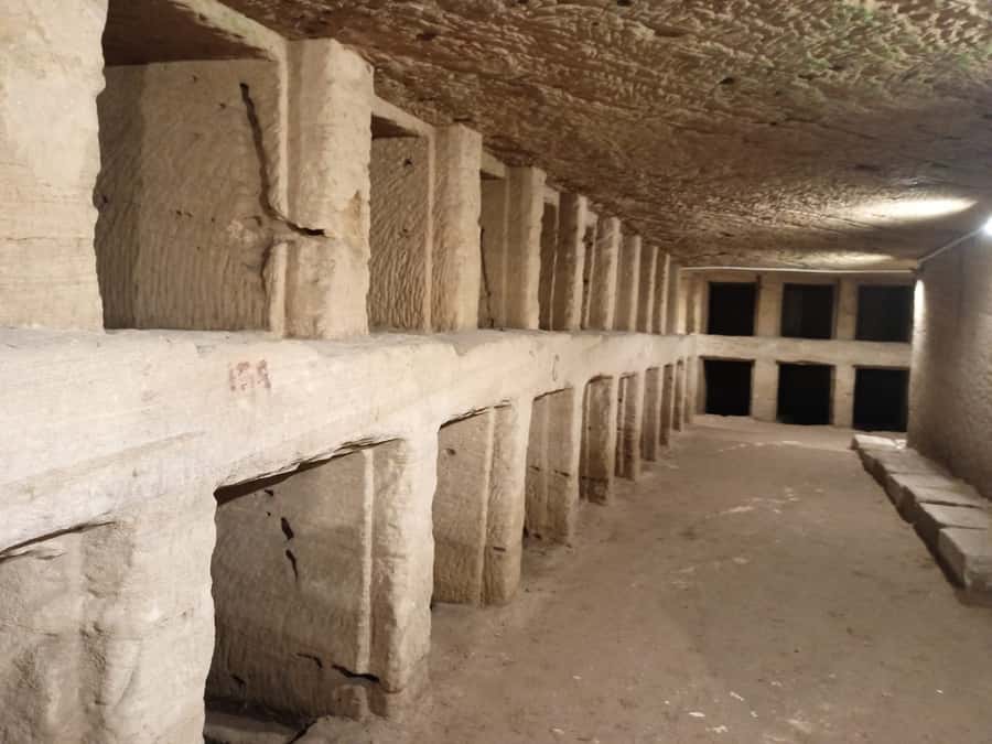 From Cairo: Private Luxurious Day Trip to Alexandria - Library of Alexandria (and the Roman Theater Plan for Fridays)