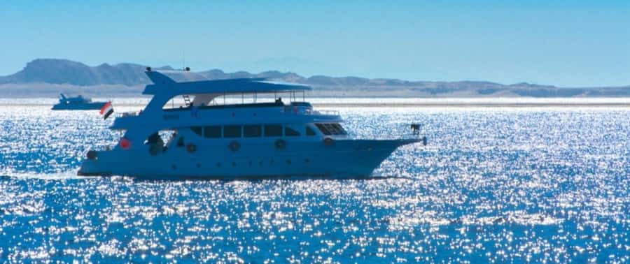 From Cairo: Snorkeling Trip on Yacht with Lunch - Key Highlights to Know Before You Go