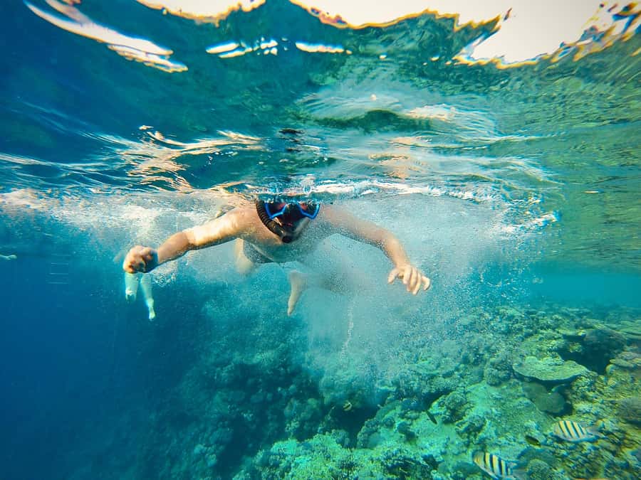 From Cairo: Snorkeling Trip on Yacht with Lunch - Getting On Board: How the Yacht Experience Works