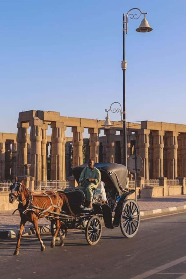From Cairo: Trip to Luxor By Flight and King Tut Tomb Visit - Who This Luxor Tour Fits Best